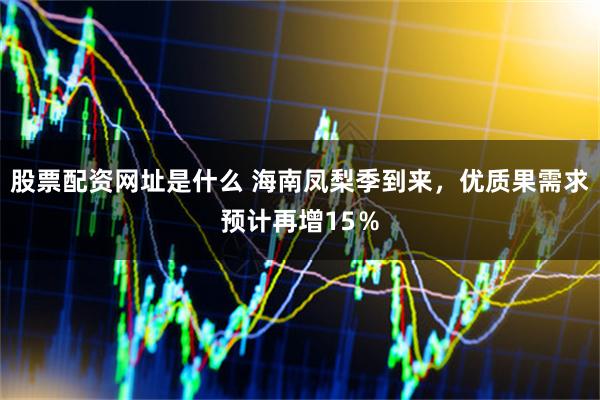 股票配资网址是什么 海南凤梨季到来，优质果需求预计再增15％